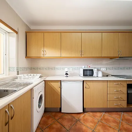 Palm Tree With Pool By Homing Apartment