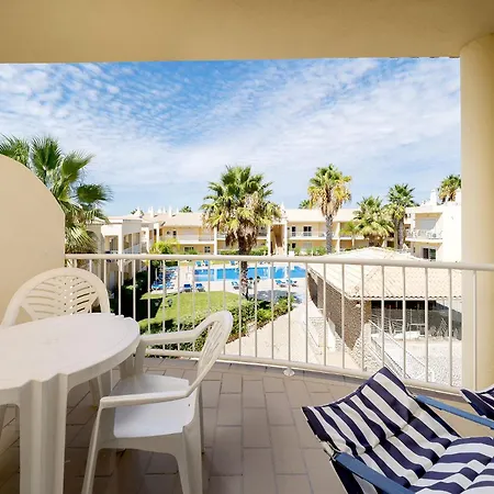 Palm Tree With Pool By Homing * アルブフェイラ